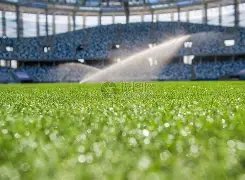 阿联酋激情,对决,主场荣耀战,bet365官网,中文bet365,bet365最新网址