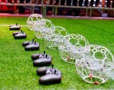 大乐透,期专家红球,杀号分析推,bet365官网,中文bet365,bet365最新网址